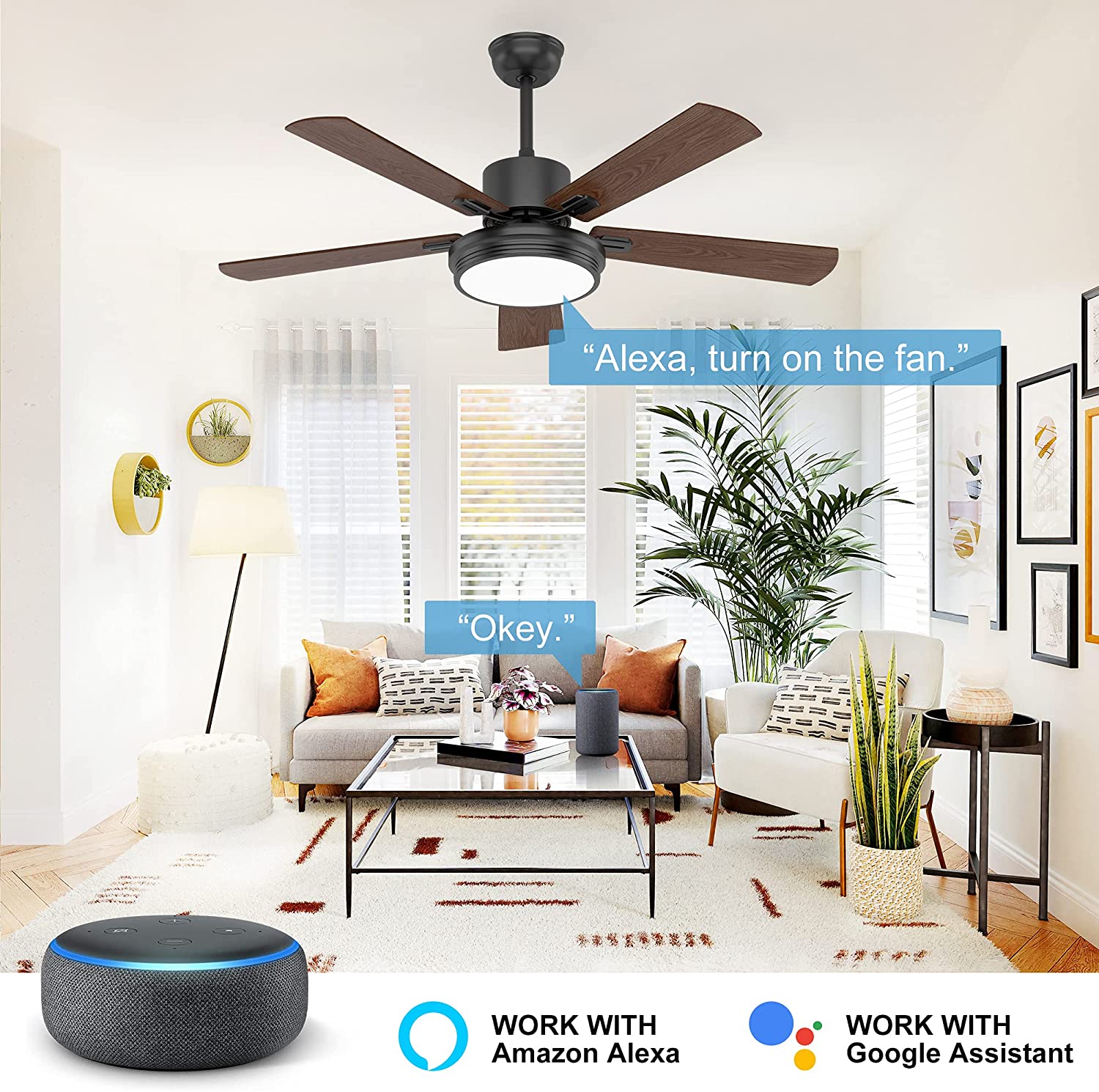 811U0CezdsL._AC_SL1500_ 811U0CezdsL._AC_SL1500_